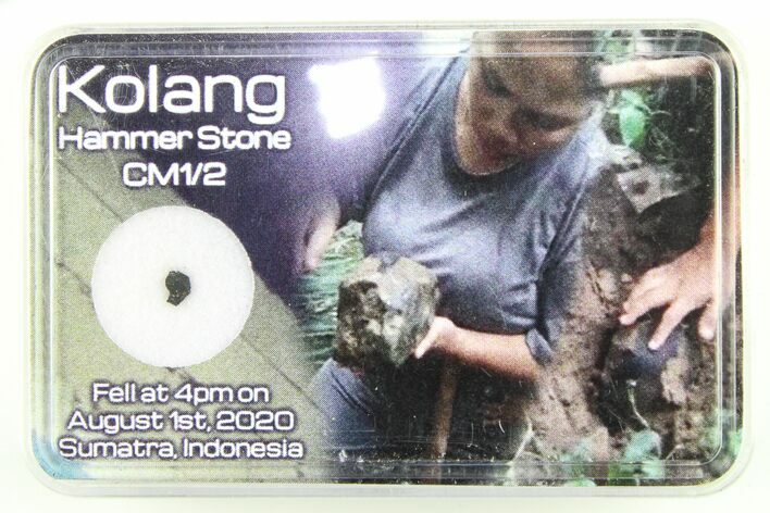 Carbonaceous Chondrite Hammer Stone - Kolang #285715